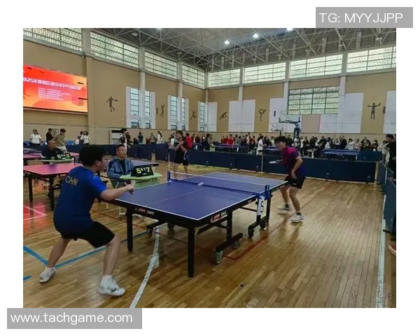 上海乒乓球队在精英赛中的比赛经验与表现分析